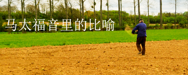 马太福音的比喻