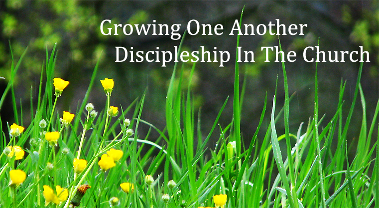 Adult Christian Education : Growing One Another