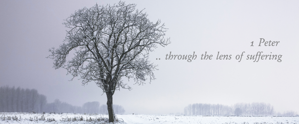 Shalom Pulpit : Sermon Series 1 Peter Through The Lens Of Suffering