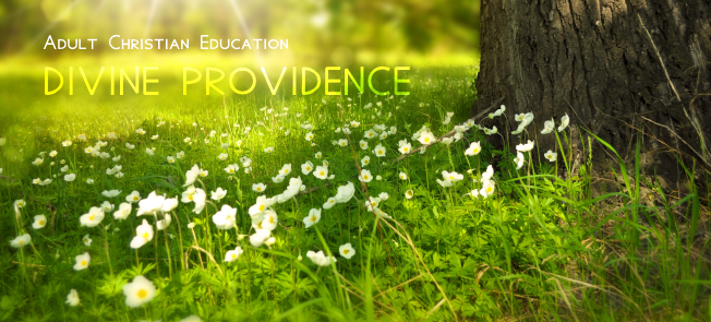 Adult Christian Education : Divine Providence